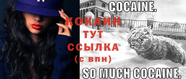 мет Балахна