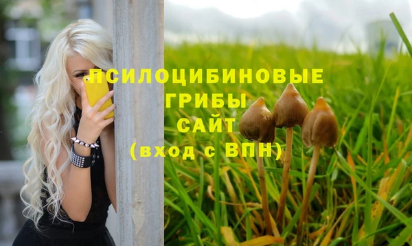 твердый Баксан