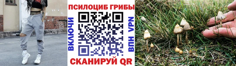 закладка  сайты даркнета формула  Псилоцибиновые грибы мицелий  Печора 
